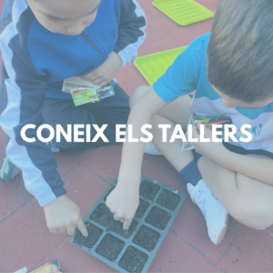 Coneix els tallers (1)