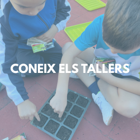 Coneix els tallers