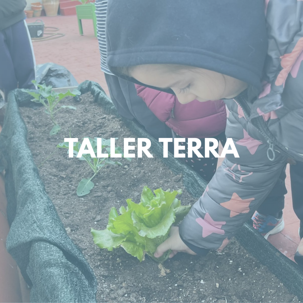Taller de Terra: créixer connectats amb la natura